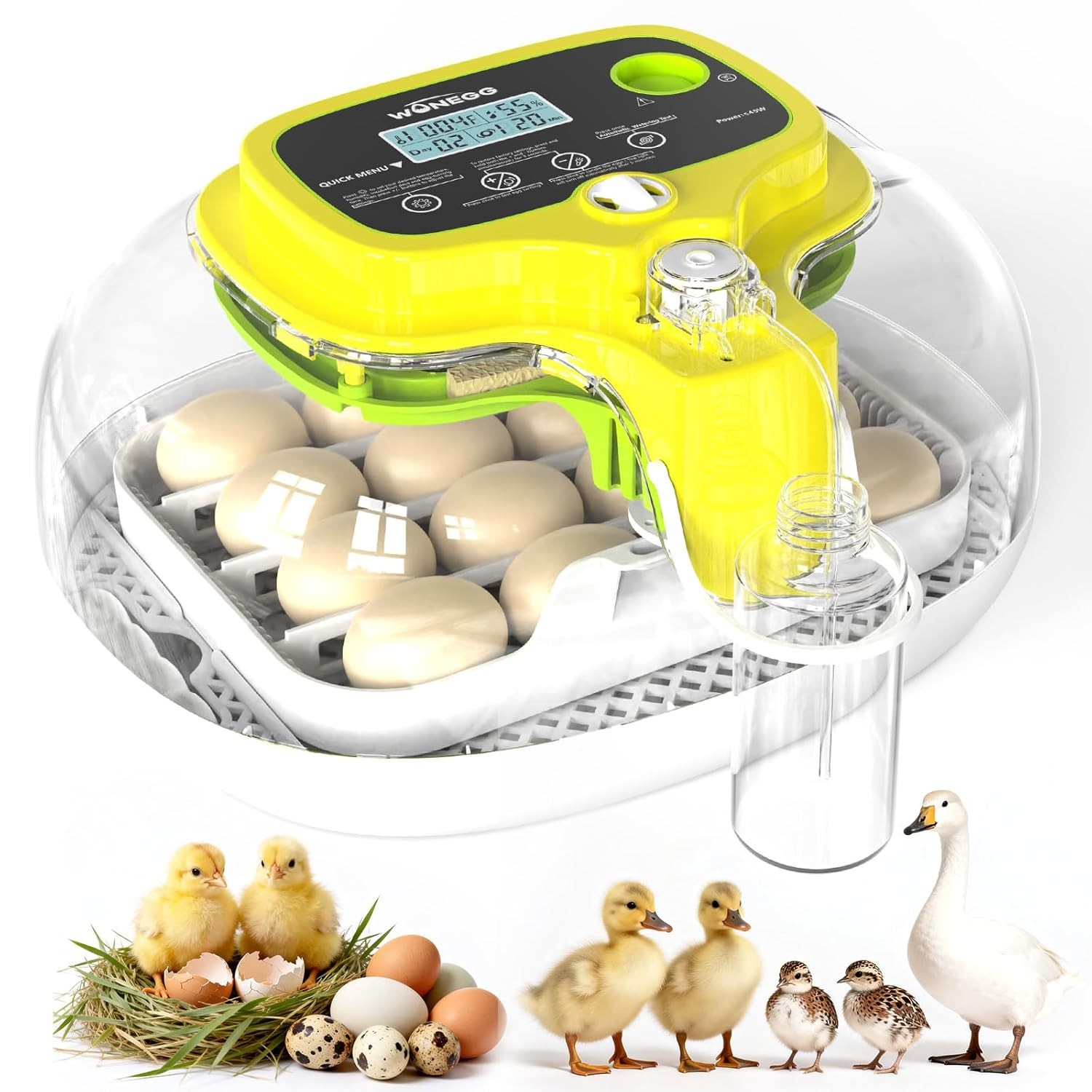 Automatic Egg Incubator 16 Eggs Mini Chicken Hatching Auto Water Refill Kitchen