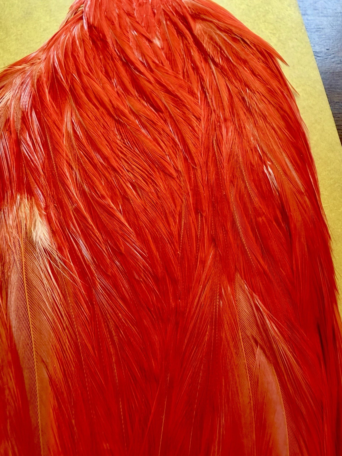 Hareline Dubbin Cape Orange 465-SH-E-L