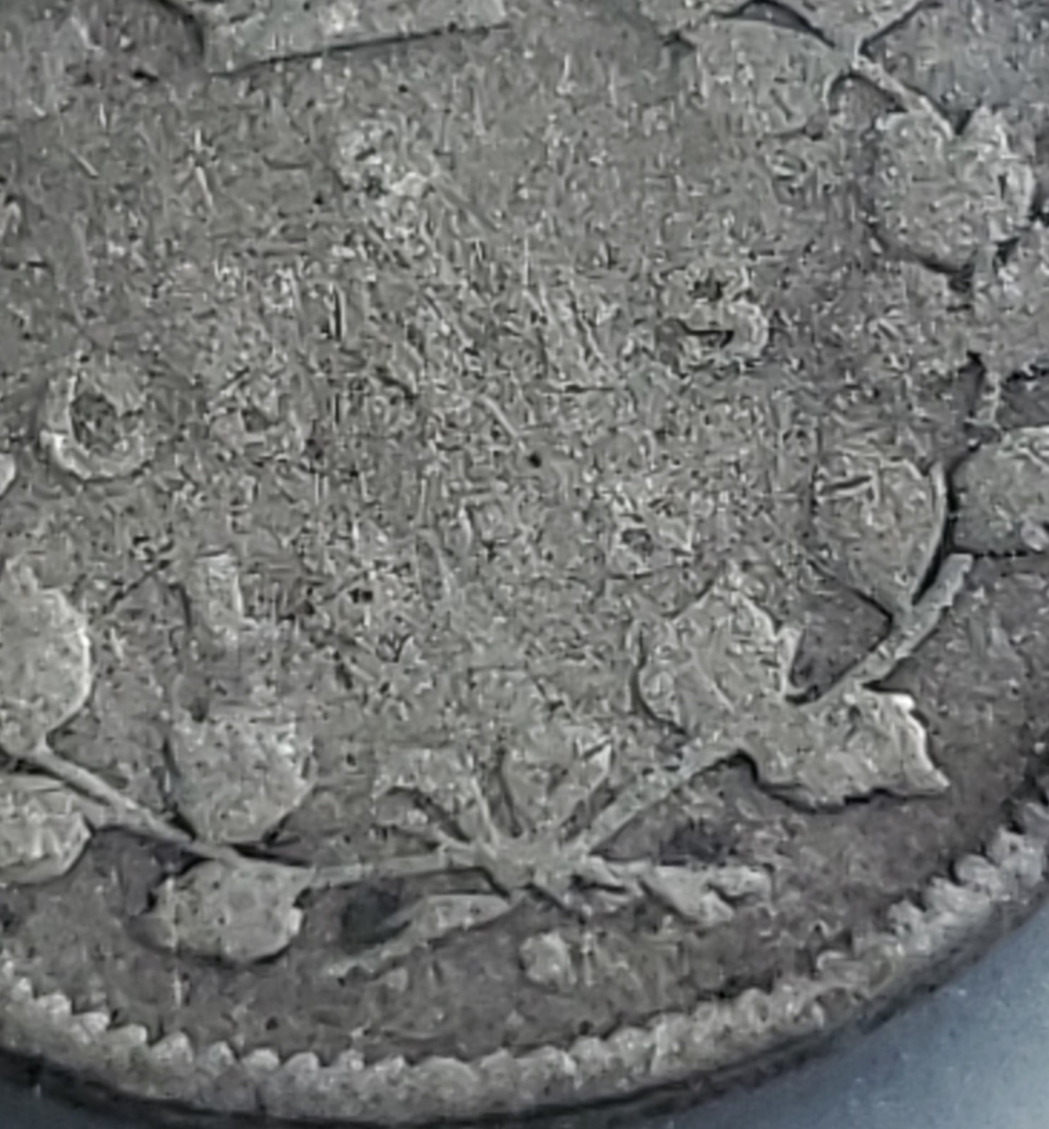 1875H SD - CANADA SILVER FIVE 5 CENTS - G4