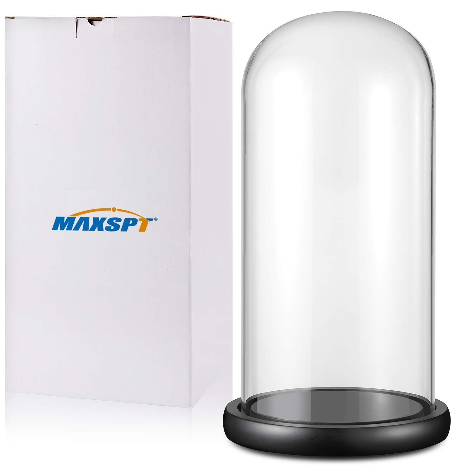 13"x 6" Glass Display Dome Cloche with Black Wood Base for Gold Rose Display,...