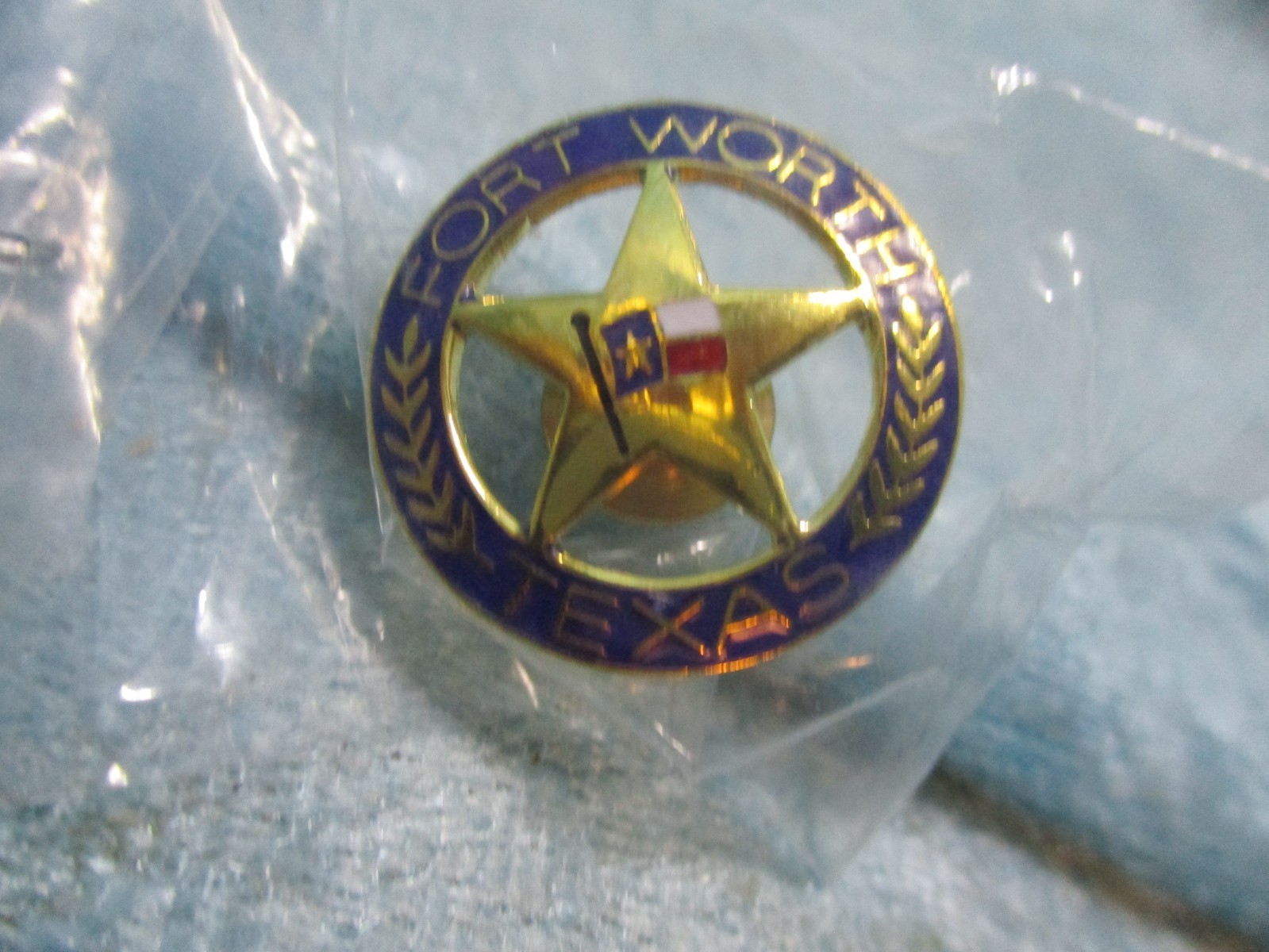 Fort Worth Texas Pin