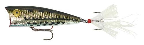 Rebel Teeny Pop-R 1/8 oz Fishing Lure - Ol' Bass