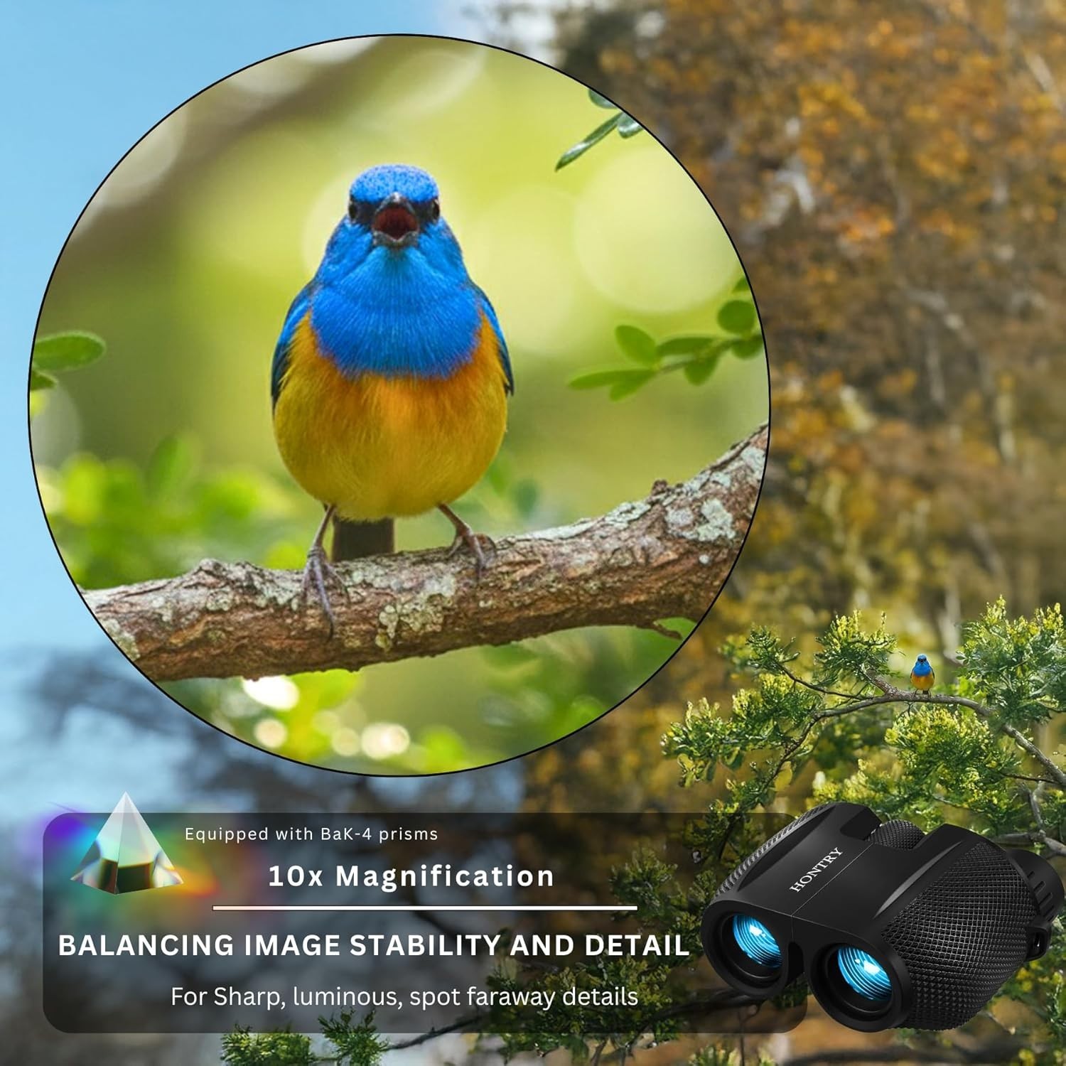 Versatile 10x25 Binoculars with Image Stabilization - Family-Friendly Adventures