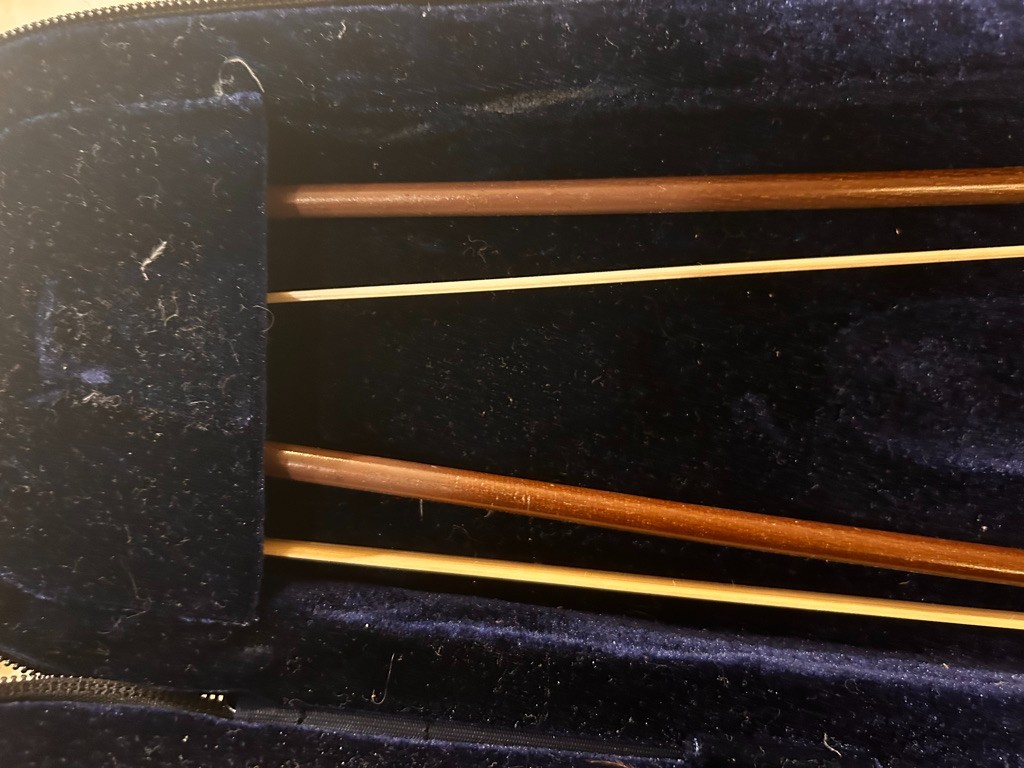 Maestro violin with two bows
