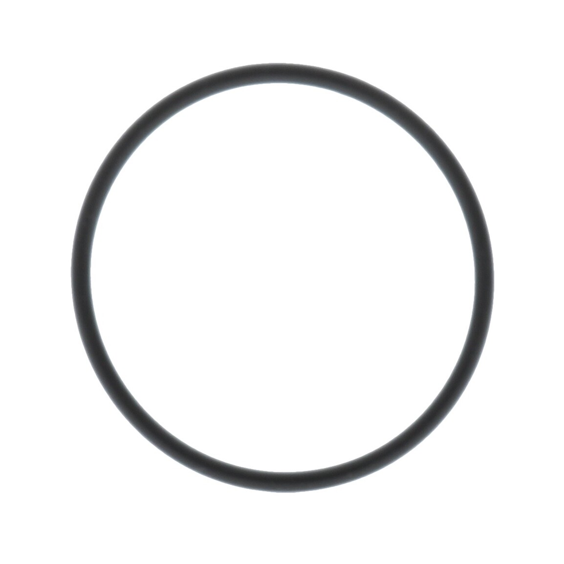 Irritec Replacement O-Ring for Canister Filter