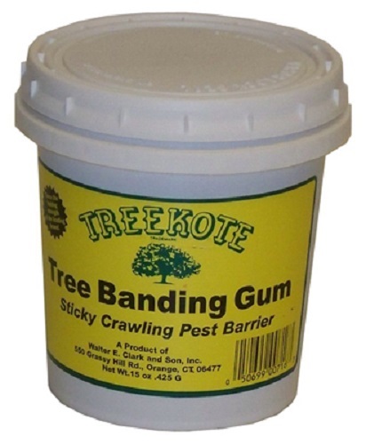 (12) ea Treekote 300716 15 oz Tree Banding Gum Sticky Insect Pest Barrier