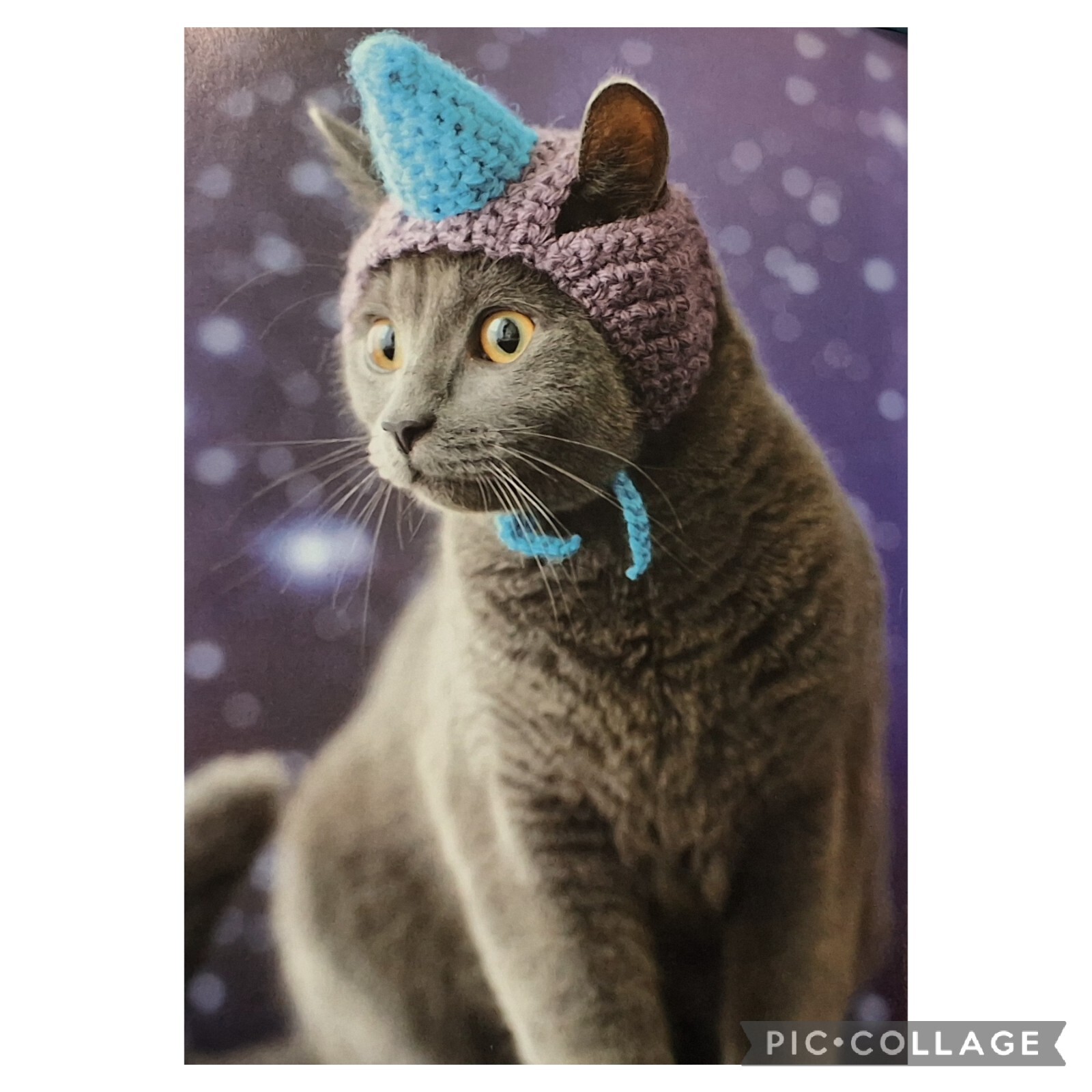 Handmade Crochet Cat Hat "Unicorn" Purple & Teal Kitty Cat Unicorn Costume OOAK!