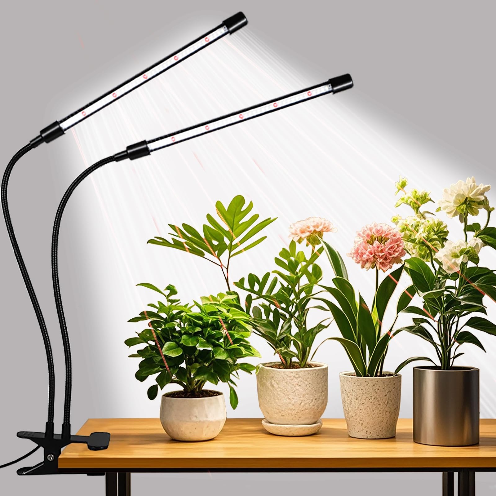 Indoor Plant Grow Lights - 84 LEDs, Full Spectrum, Flexible Gooseneck, Timer
