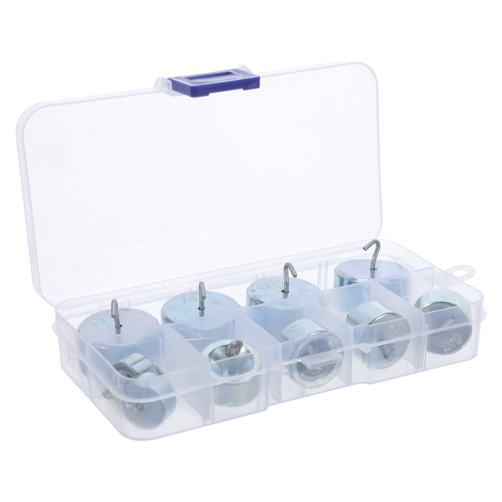 1 Set Metal Hook Weights: Laboratory Use Science Experiments Weights - Total