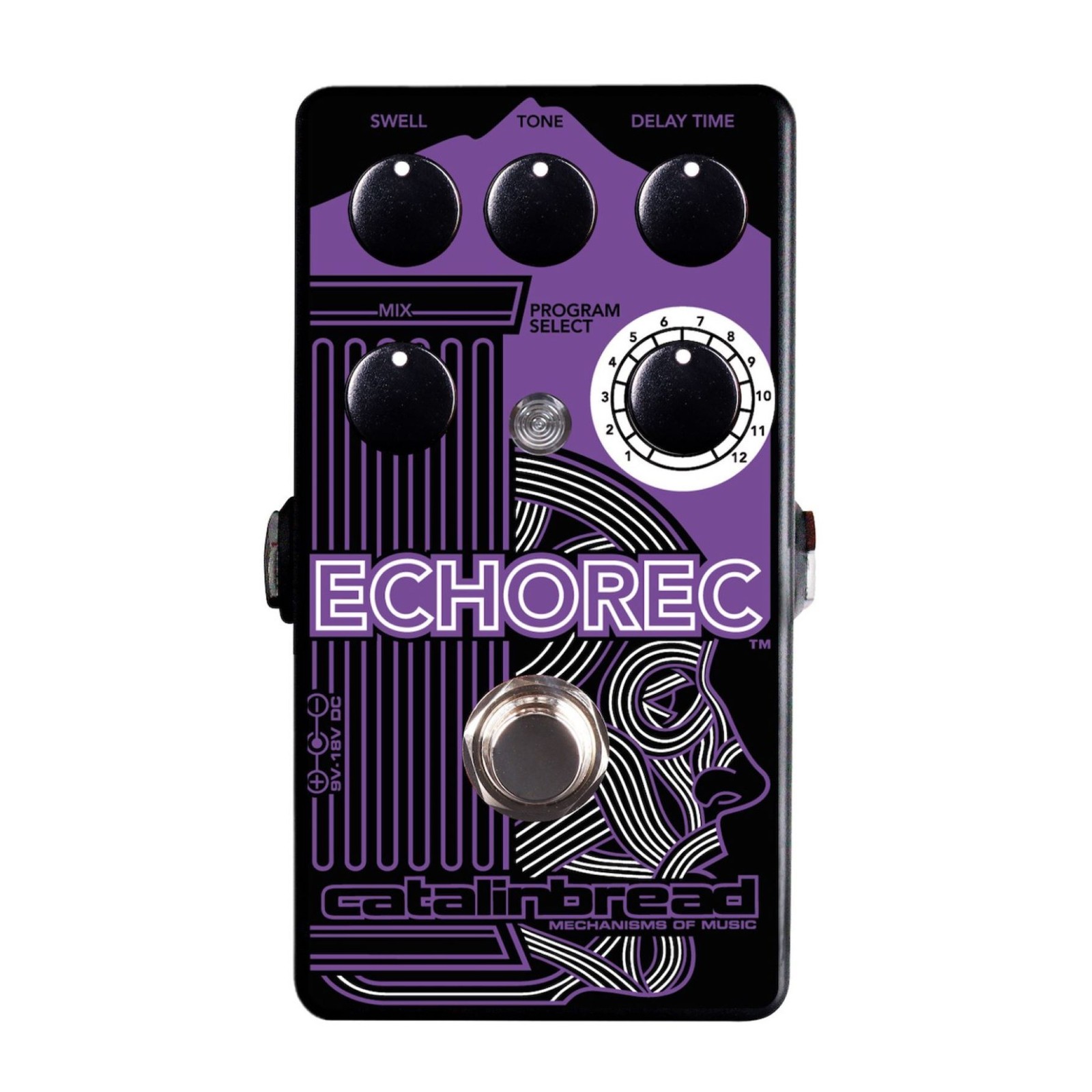 Catalinbread ECHOREC Multi Head Delay Purple Guitar Effects Pedal