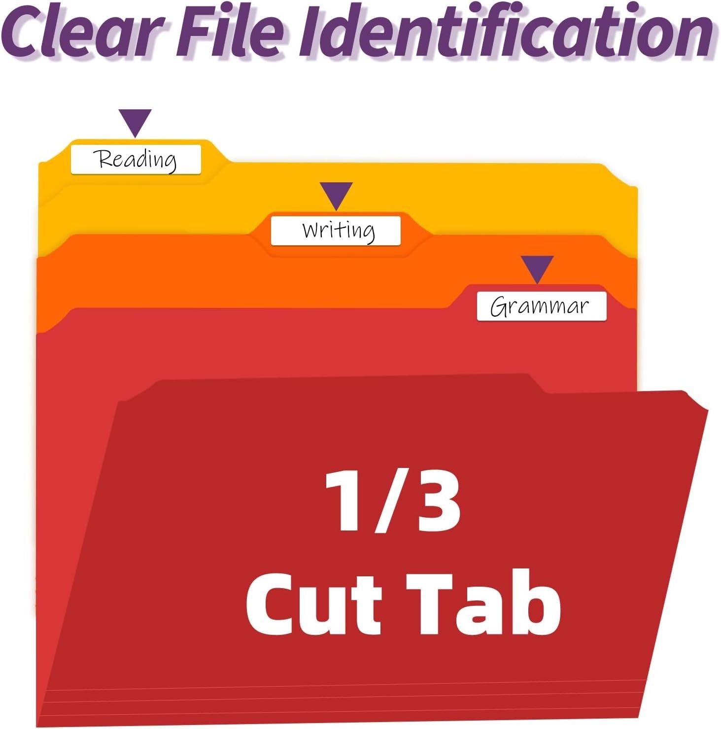 Plastic File Folders with Tabs, 6 Pack Colored Plastic Folders, 1/3 Cut Tabs