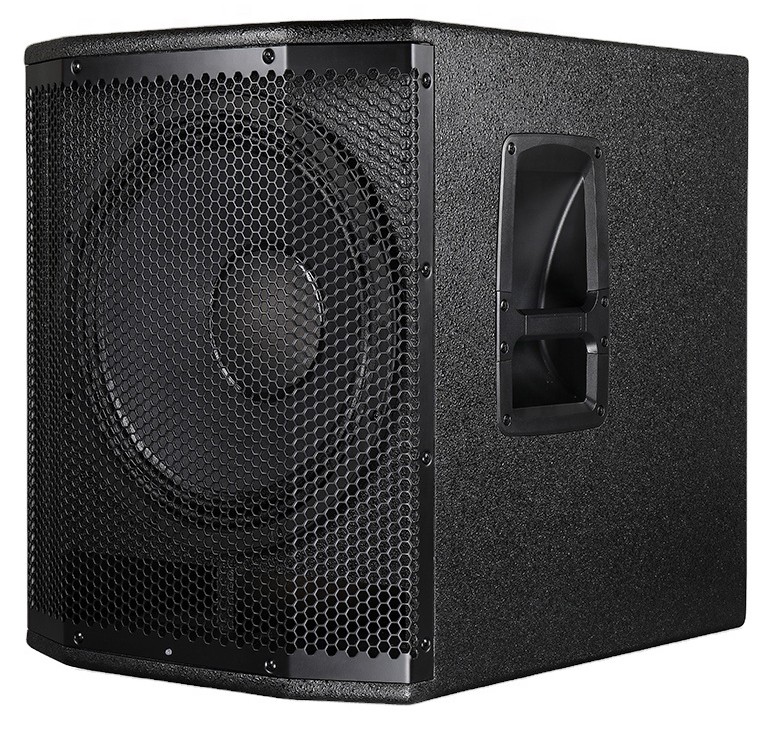 Singtronic Professional 1000W Power Amp Subwoofer Speaker