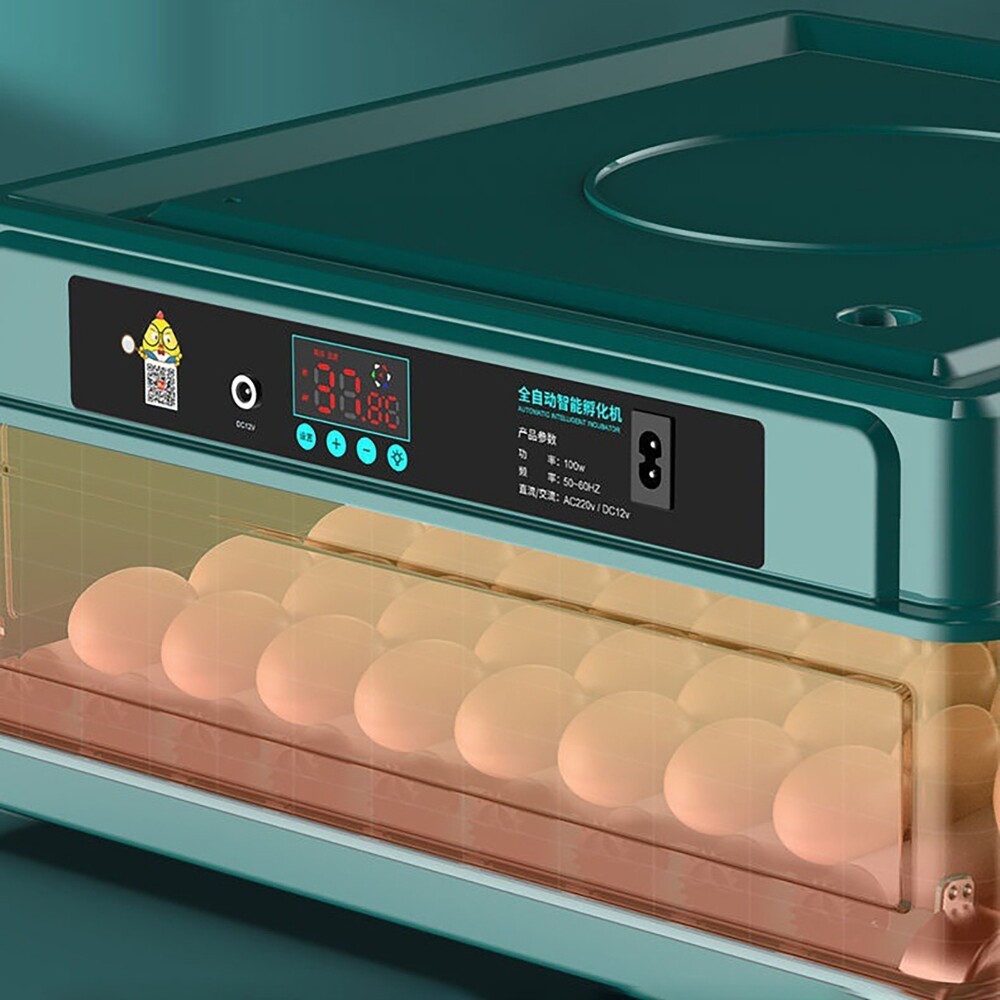10 Eggs Fully Automatic Intelligent Double Electric Incubator Household Chicken