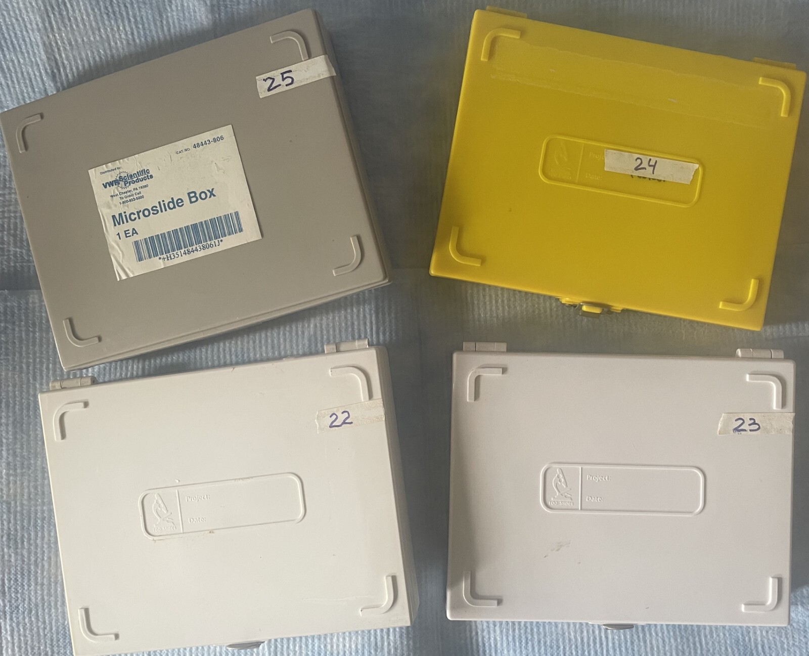 Four Microscope storage boxes with  mouse tissues slides, 22,23,24,25