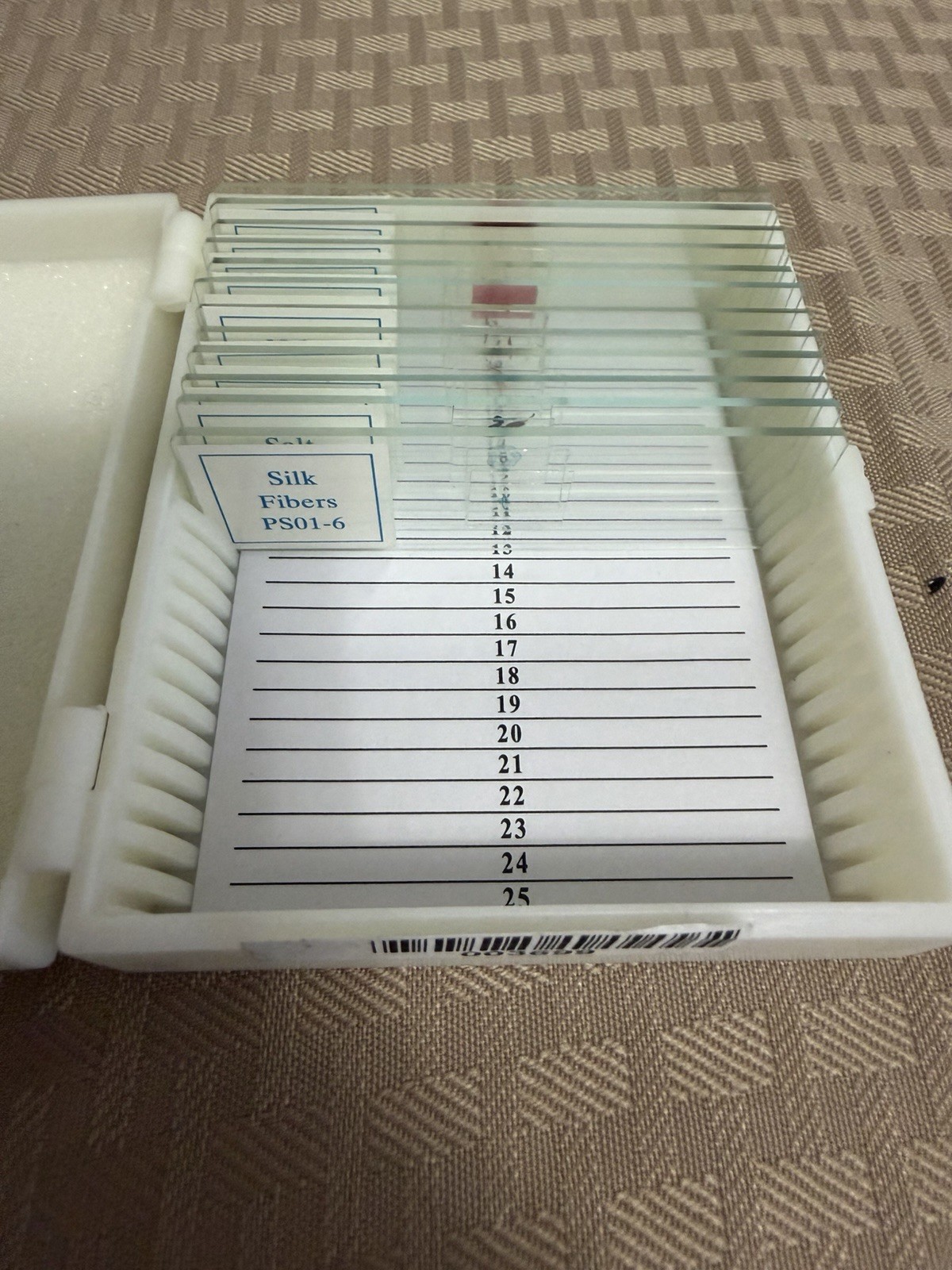 Prepared Elementary Interests Microscope Slides Home Science Tools Homeschool