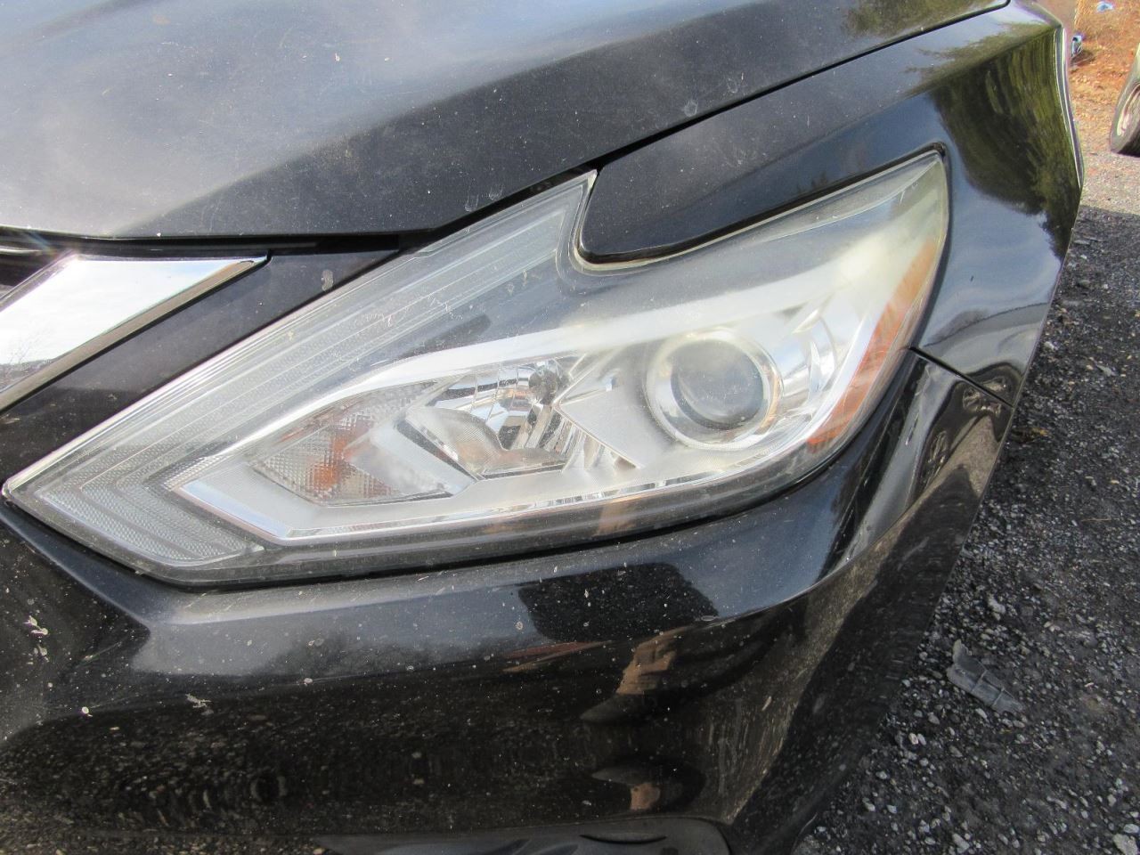 ALTIMA 2017 Glove Box 1037813