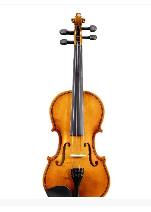 3/4 Acoustic Violin with Hard Case,Violin Bow,Shoulder Rest,Rosin,Extra Strings