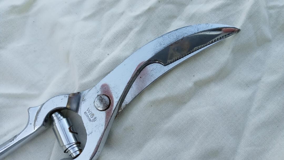 Wiss Germany #1309 Chrome Poultry Shears with Toggle Lock 9"