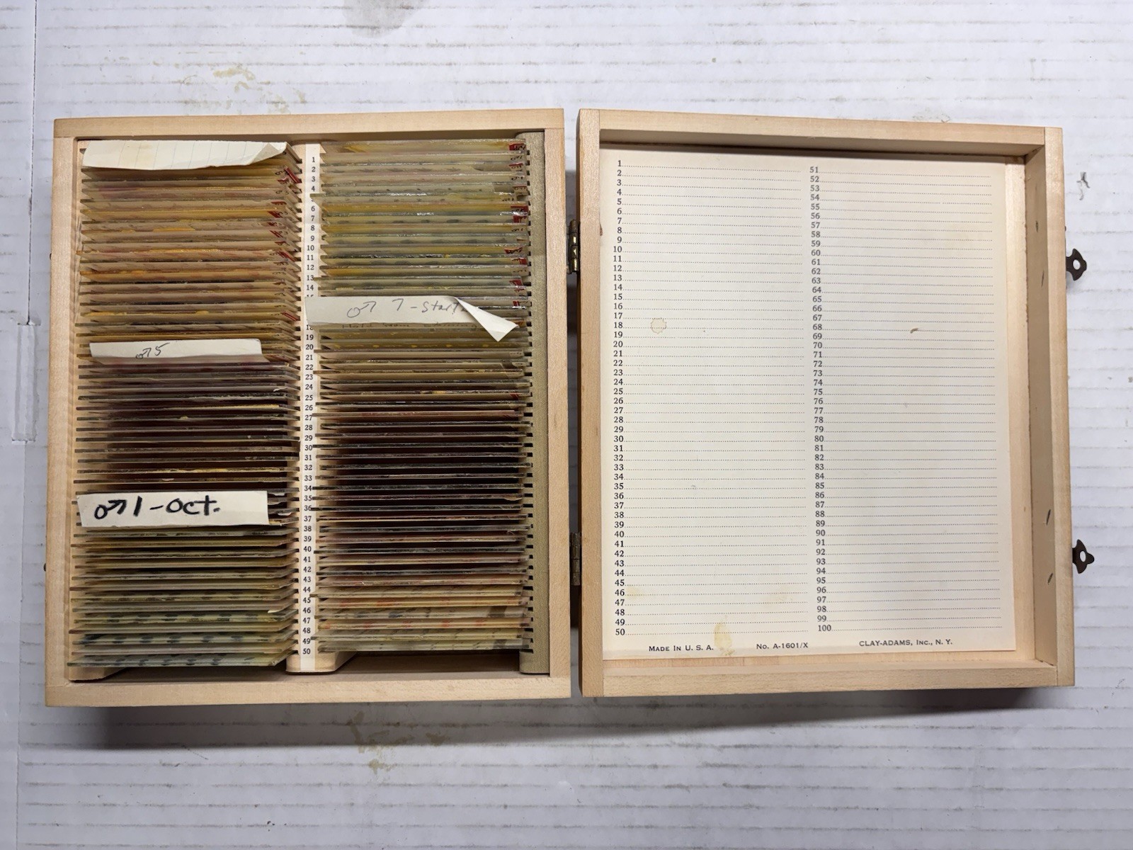 Vntg Prepared Microscope Slides & Clay Adams Case & Penis, Testes, Glands. 90+