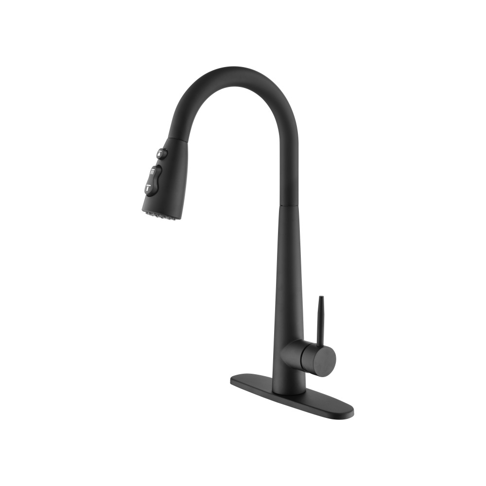 Black Kitchen Faucet with Pull Down Sprayer Fingerprint Resistant Single Handle