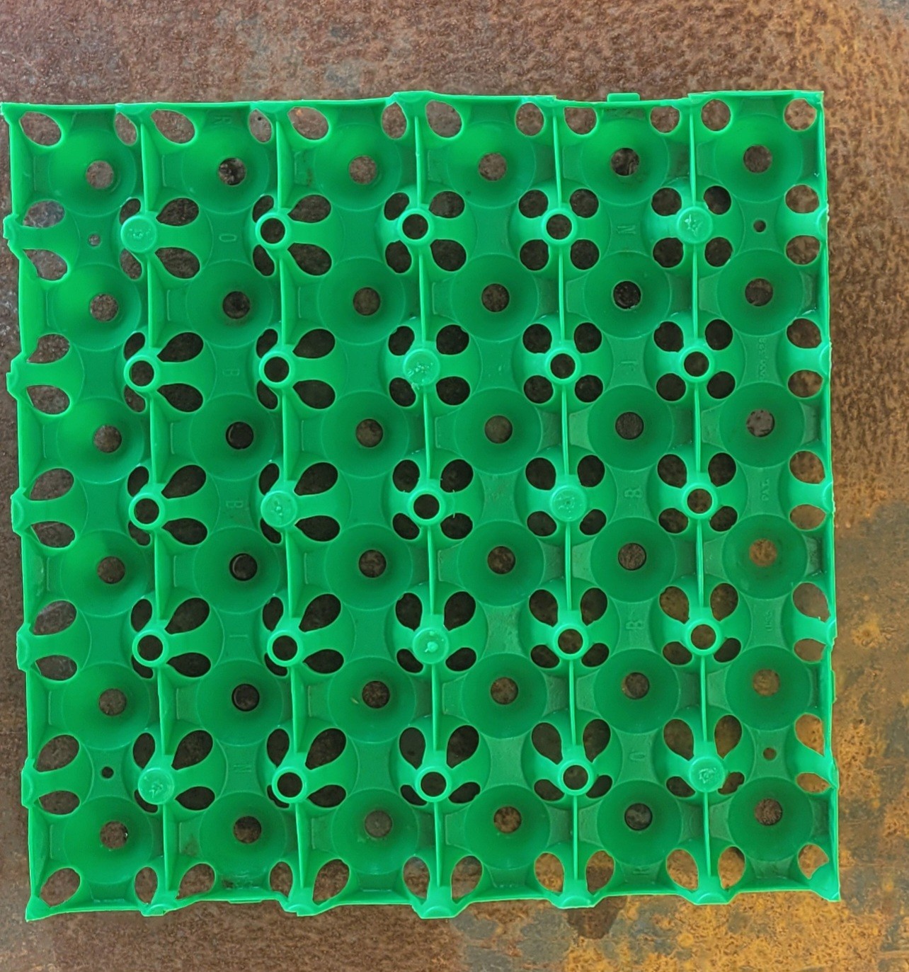 36-egg, Incubator Tray, Turkey.