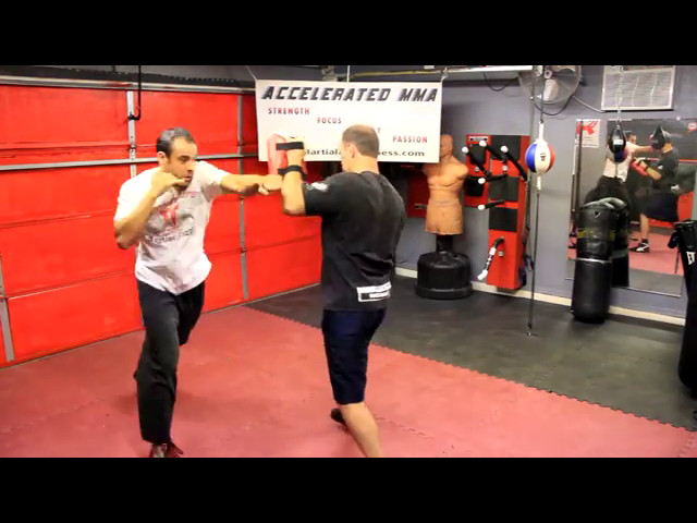 Martial Arts Training; Stop the Charging Attacker with Powerful Punches | BJJ