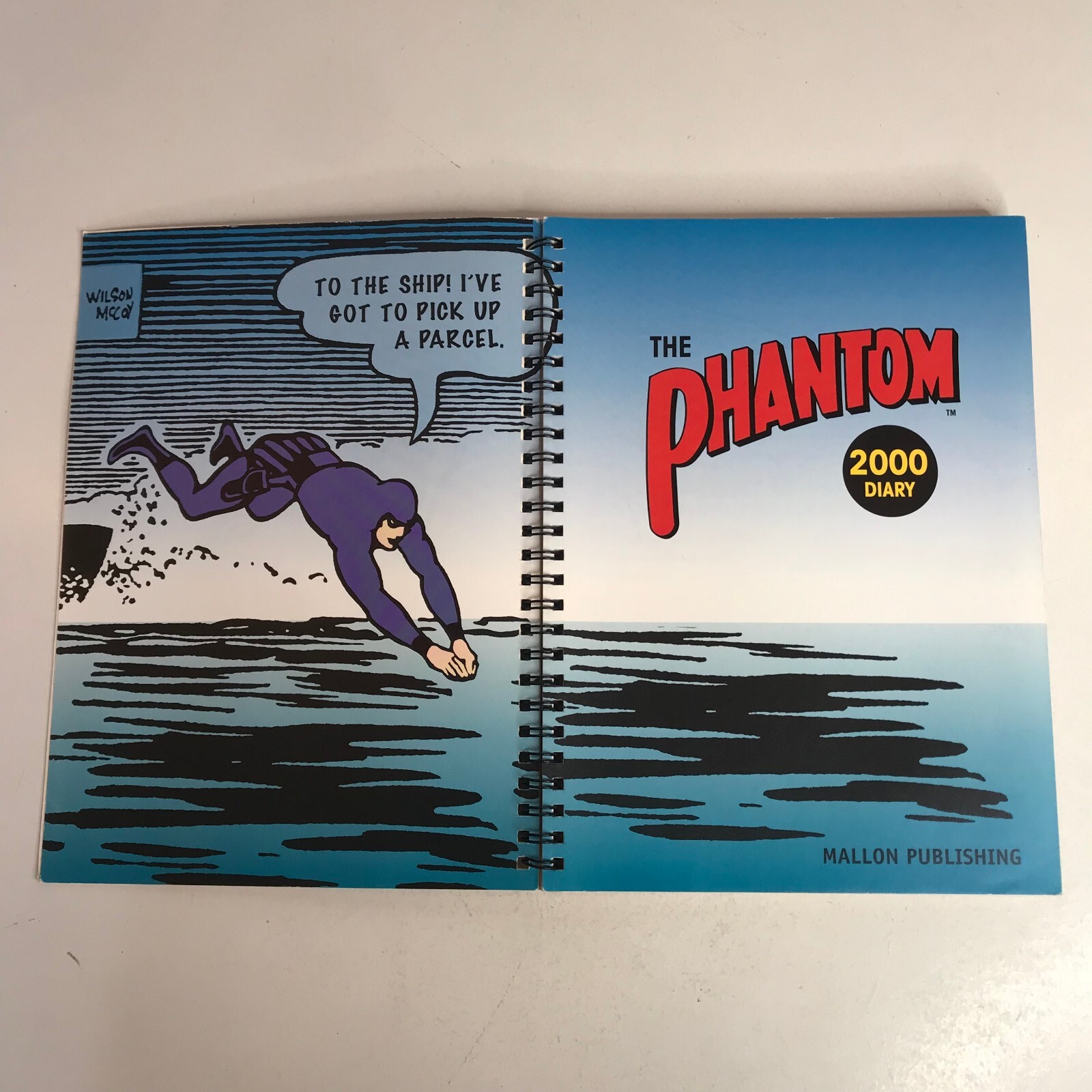 The Phantom 2000 Diary No.2