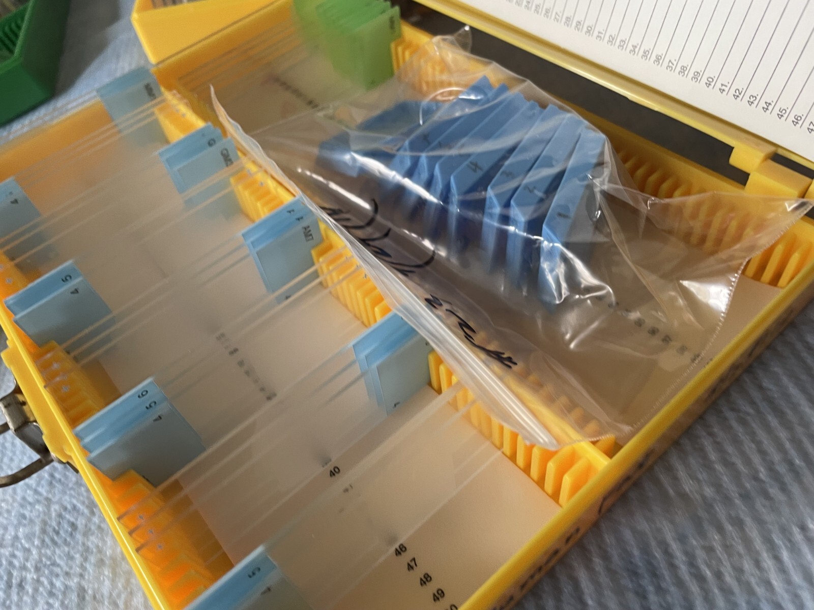 Four Microscope storage boxes with mouse tissues slides, 14,15,16,17