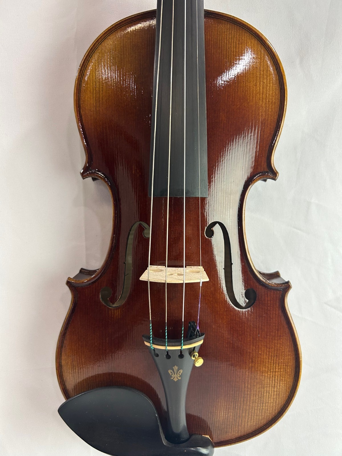HandMade Violin Outfit 4/4 European Wood  Gagliano Oblong Luxe case GG-222