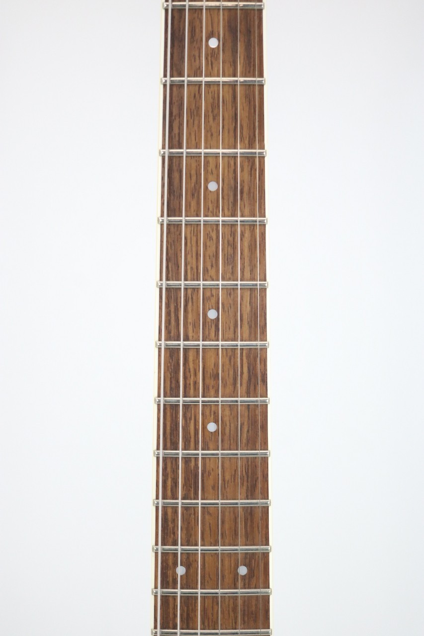 FERNANDES APG-55S Authentic USED w/tracking Fast Shipping