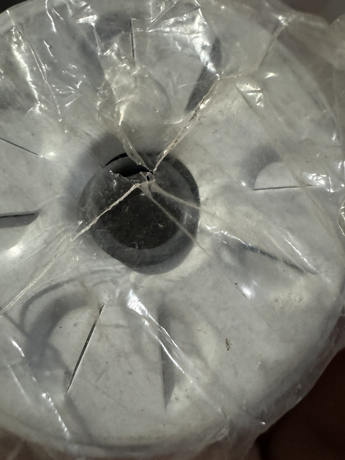 Filter Insert