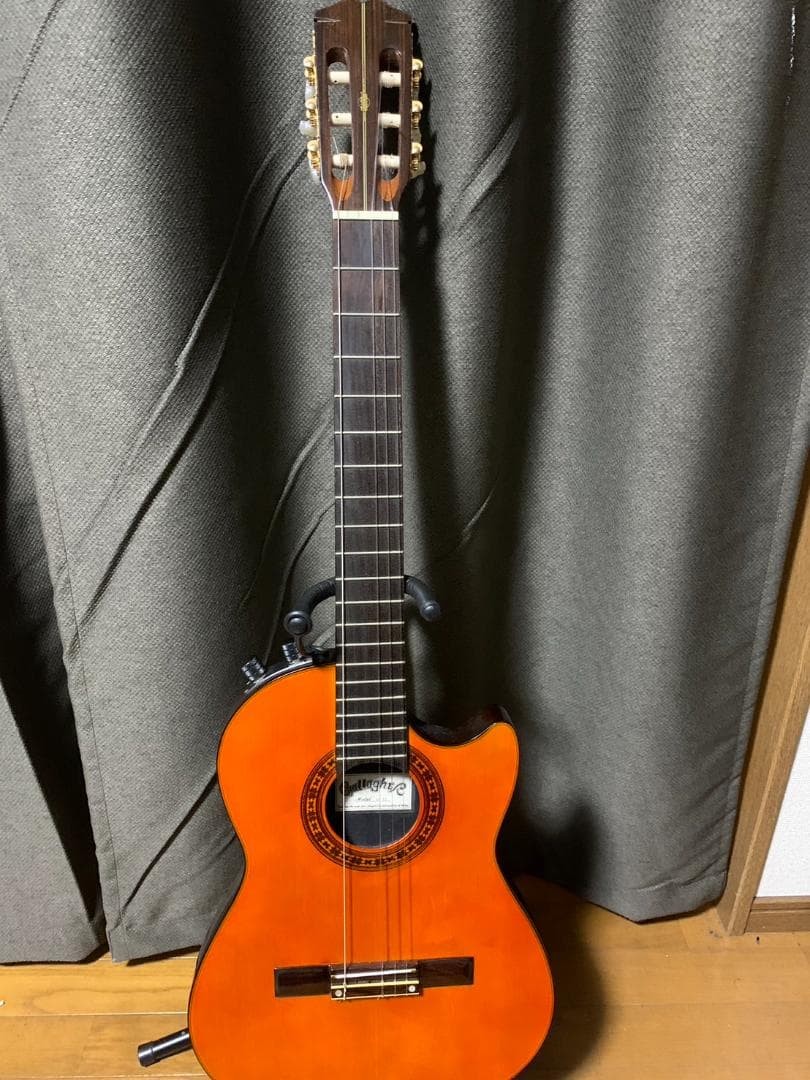 Gallagher AN2 Acoustic-Electric Guitar With Preamp, Needs Maintenance, Soft Case