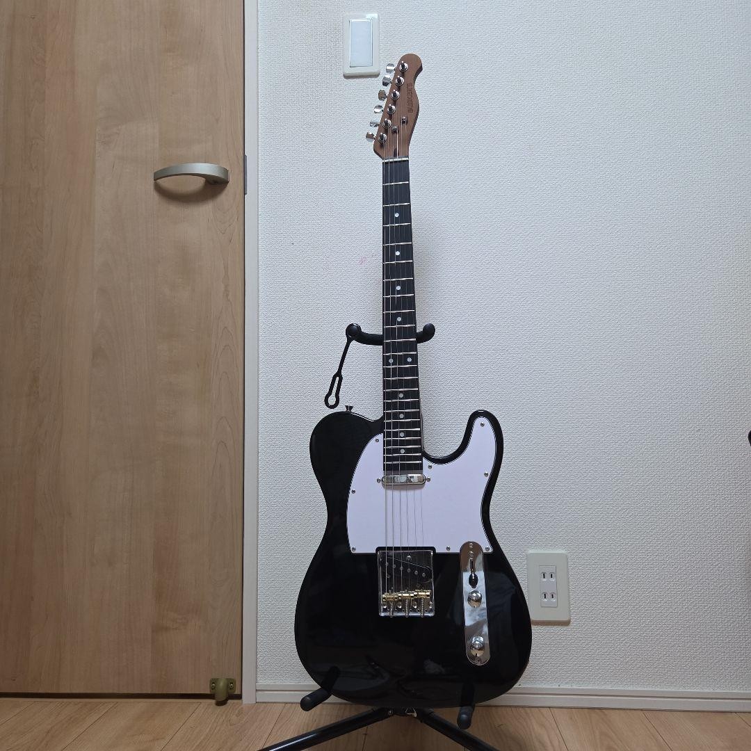 Bacchus Electric Guitar Telecaster Type Stand + Shield Included