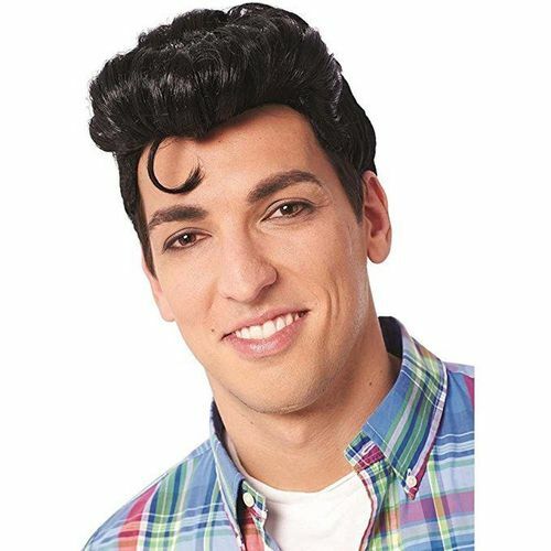 Costume Culture Franco Doo Wop 50's Greaser Mens Pompadour Costume Wig 21085