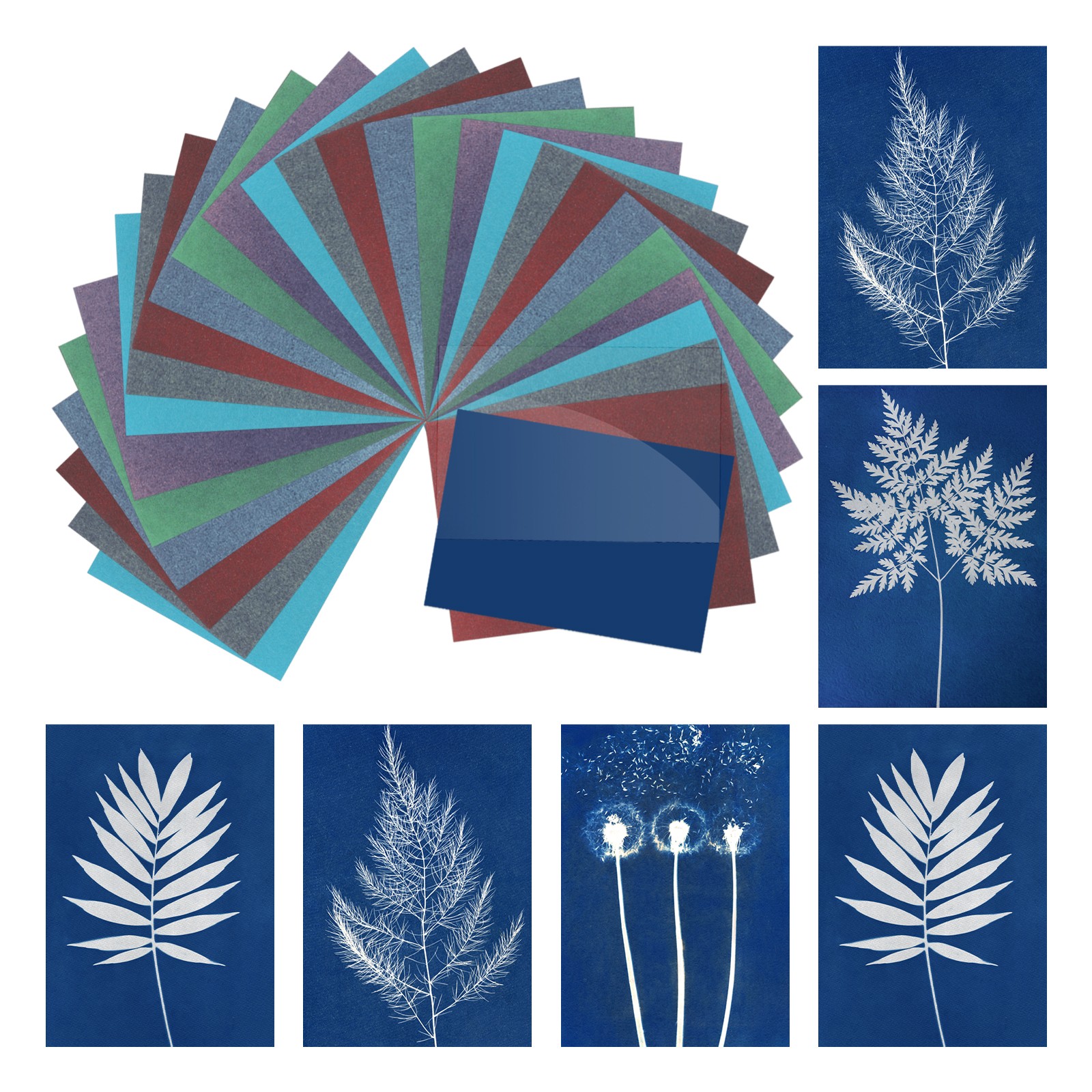 Cyanotype Paper,12 Sheet Sun Print Paper Colored Crafts with Board,4.1x2.9 inch