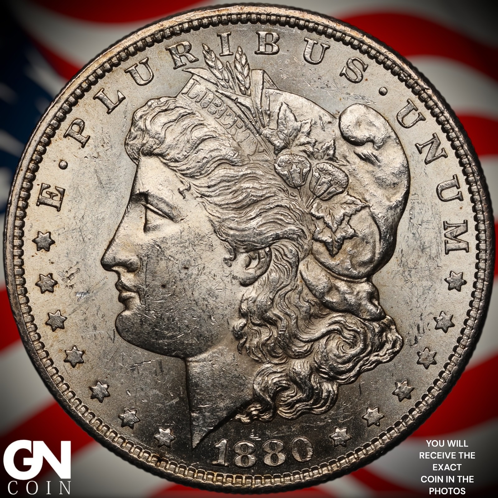 1880 S Morgan Dollar A1223