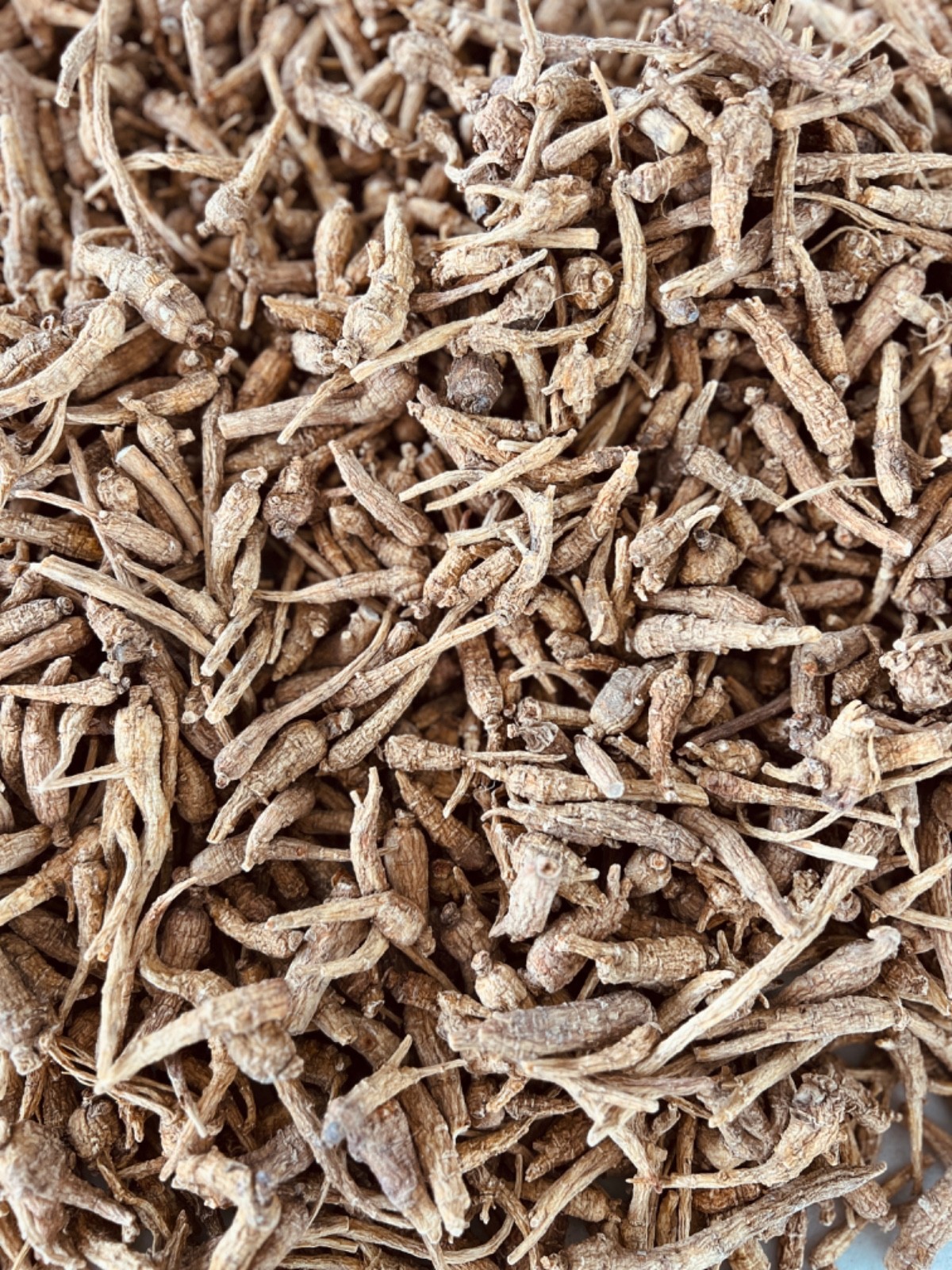 100% Pure Wisconsin American Panax Ginseng Root