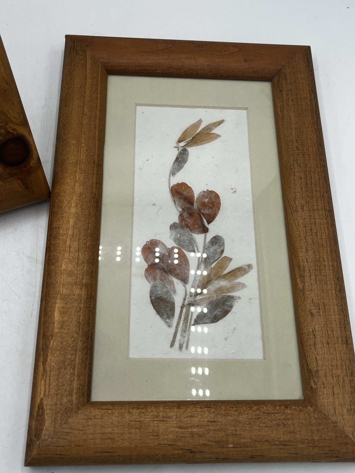 Framed Pressed Botanical Flower Art Pair Handmade Paper Wood Frame Decor