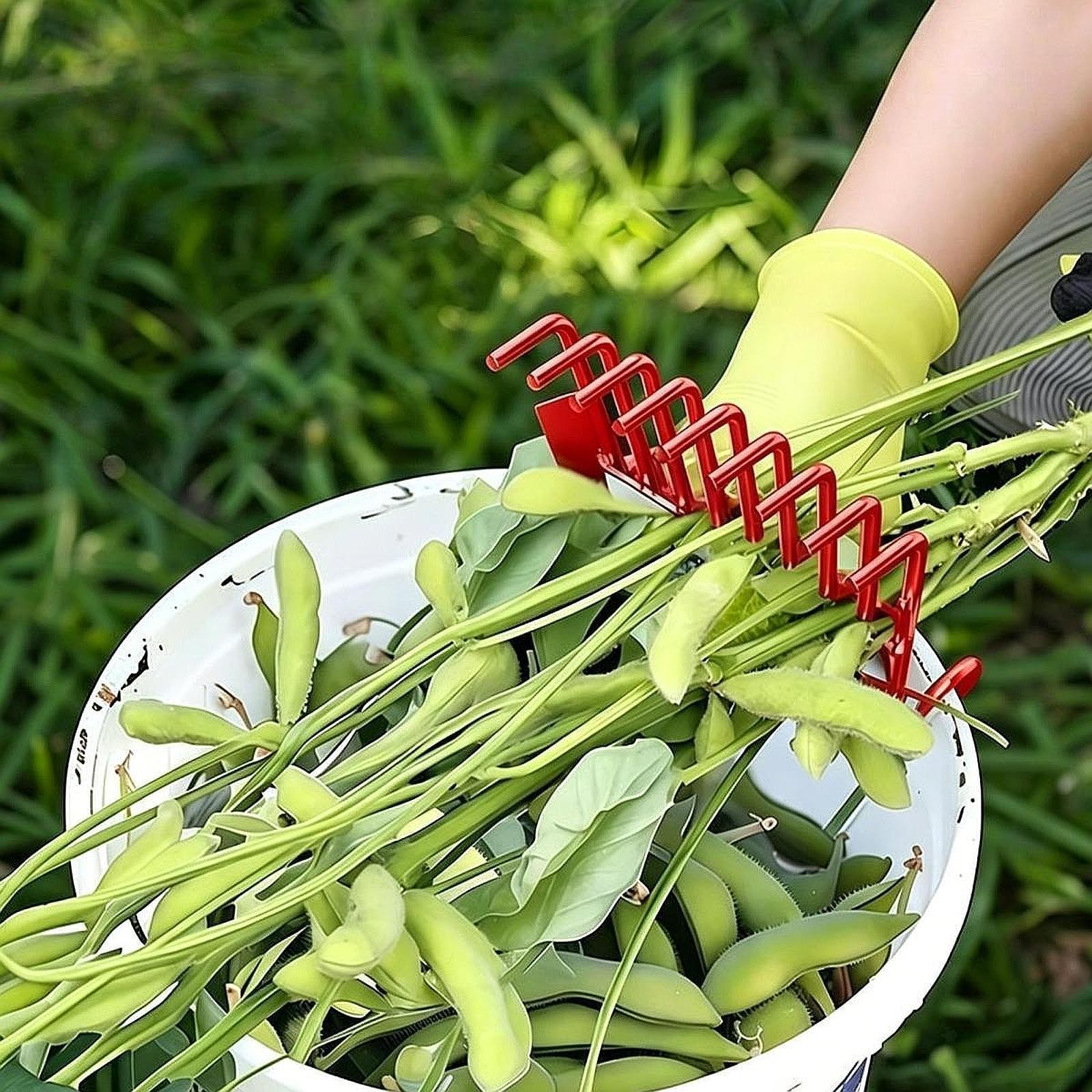 Peanut Picker Rake Versatile Sturdy Edamame Picker for Hickory Walnut Cherry