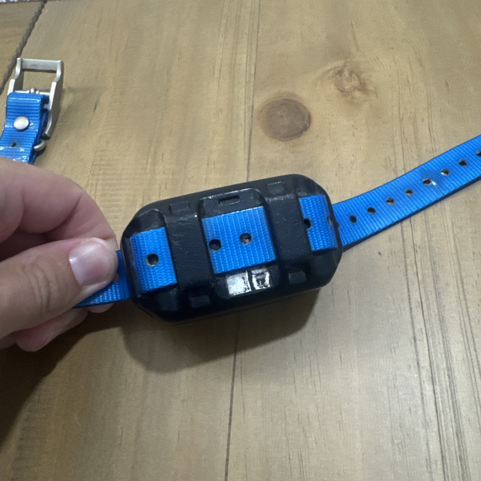 Garmin PT10 Collar AS IS Short Contact Points - Blue Strap