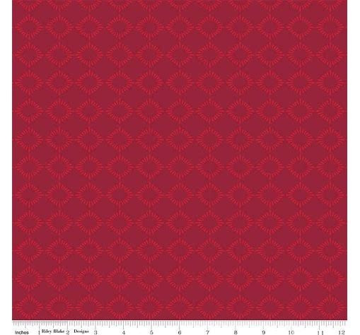 American Beauty C14440 Storm Main Dani Mogstad for Riley Blake Fabrics-- Sold