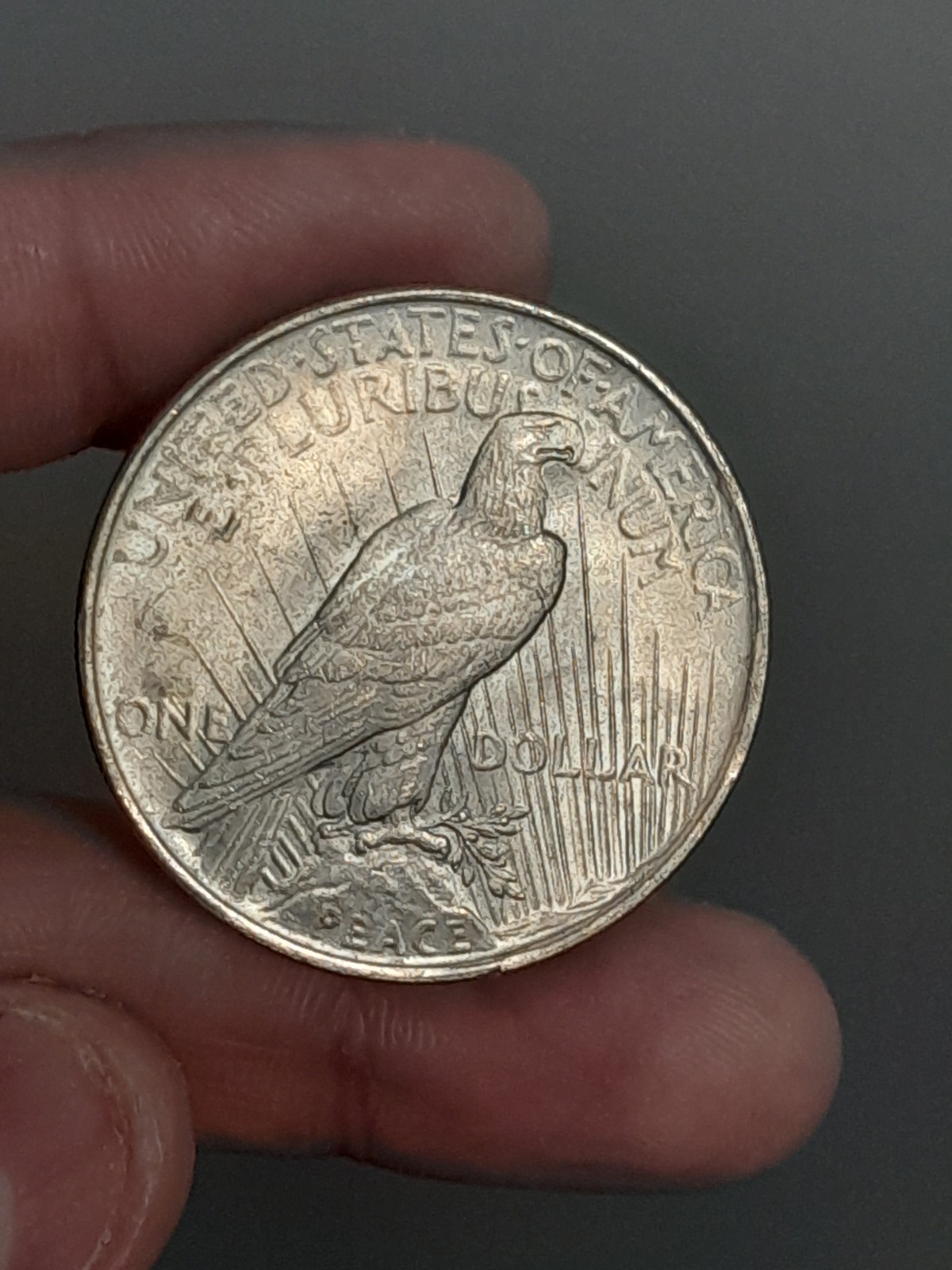 1922 Peace Silver Dollar Uncirculated #3