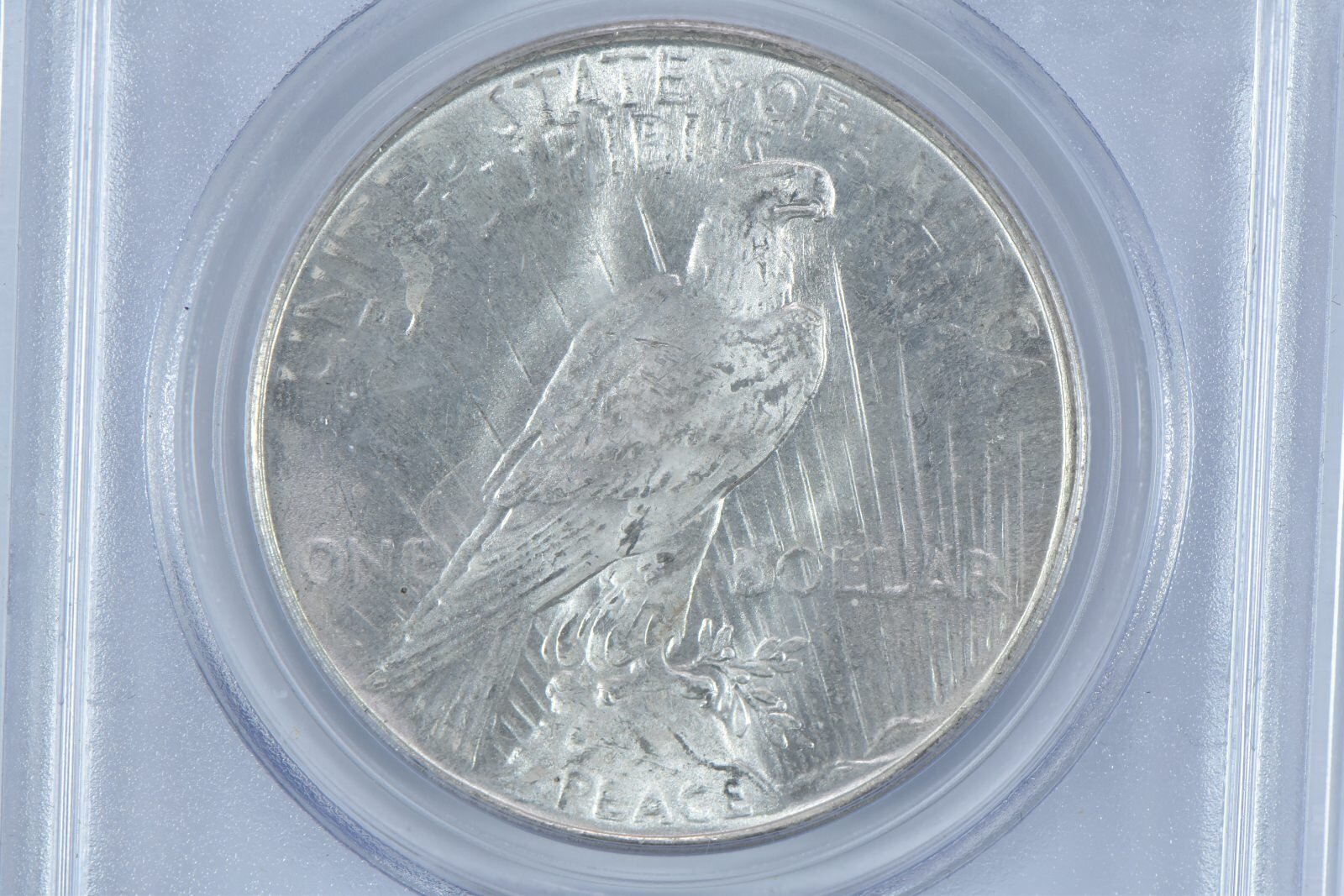 1923 Peace Silver Dollar MS63 PCGS Blue Label