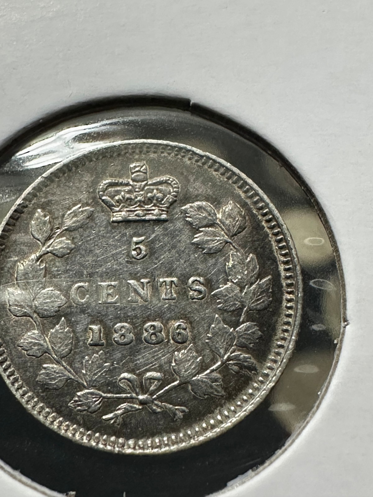 1886 Sm 6 Canada 5 Cents Mid AU--Cleaned