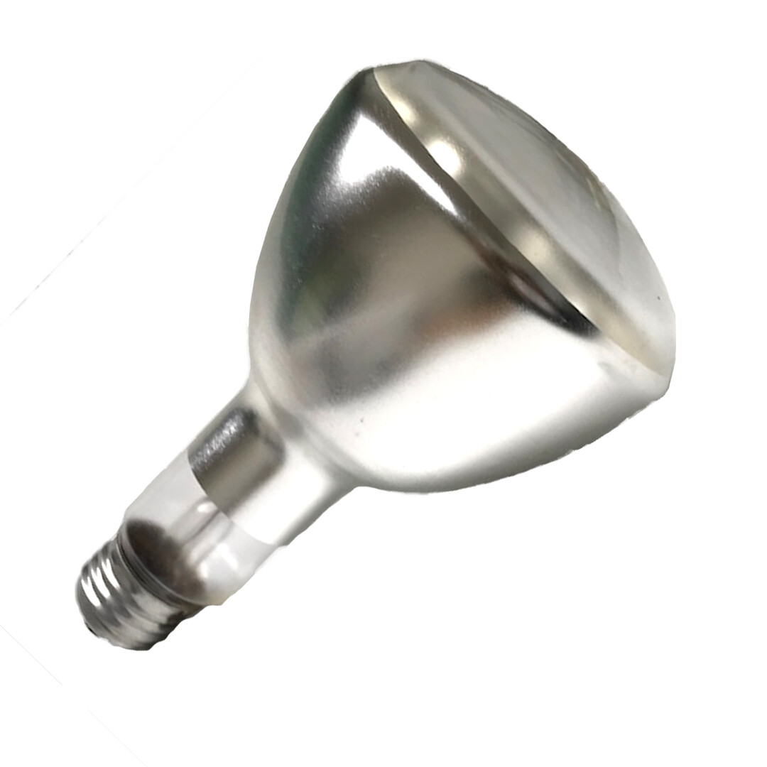 Sylvania Ellipsoidal Floodlight 50ER30-120V 50W  Light Bulb