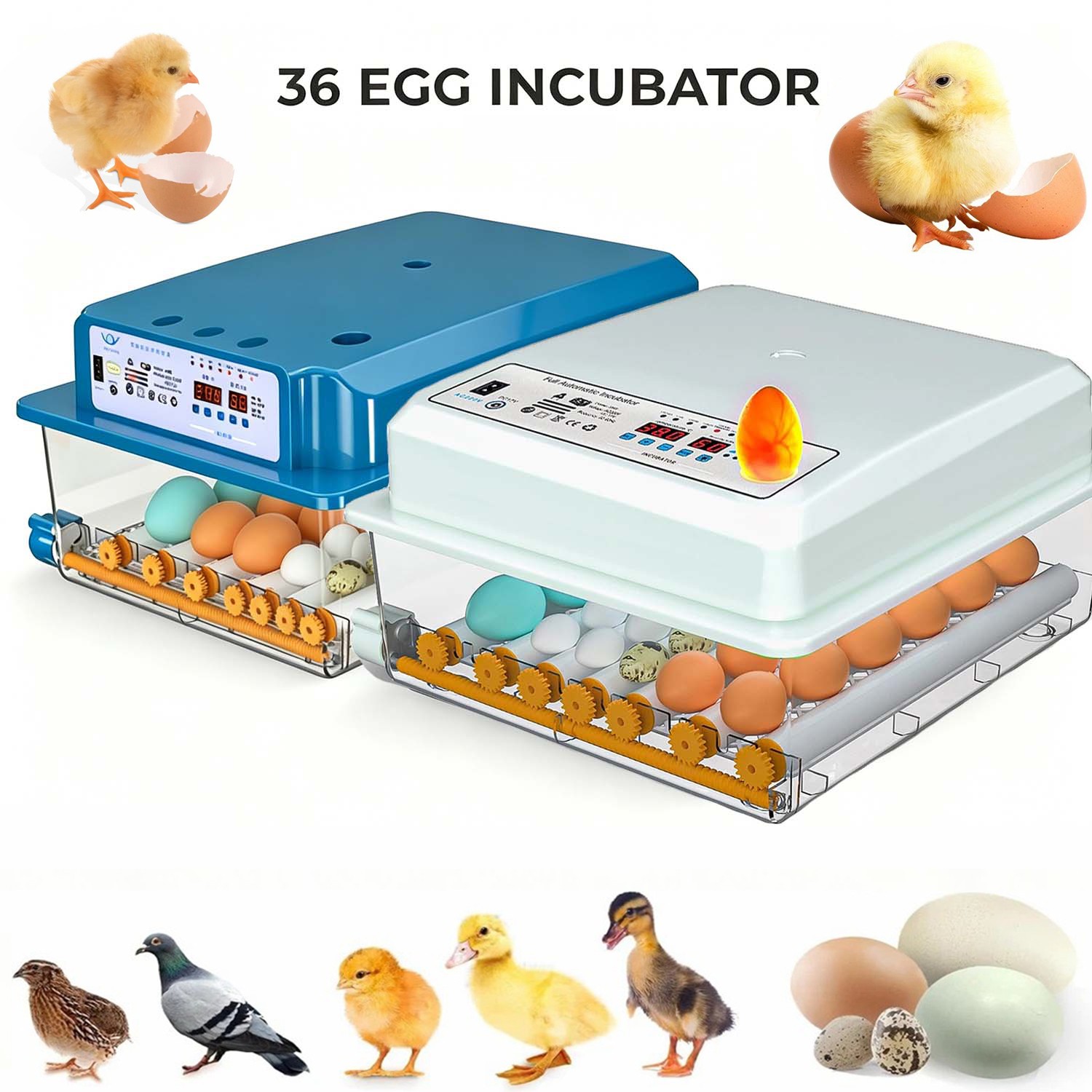 🔥36 Egg Incubator with Automatic Egg Turning Egg Hatching Temp Humidity Control