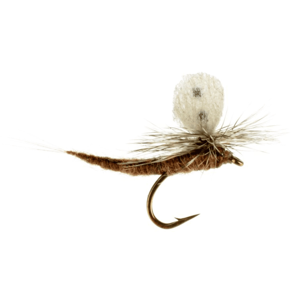 Callibaetis Extended Body - Fly Fishing Flies (1 pc)