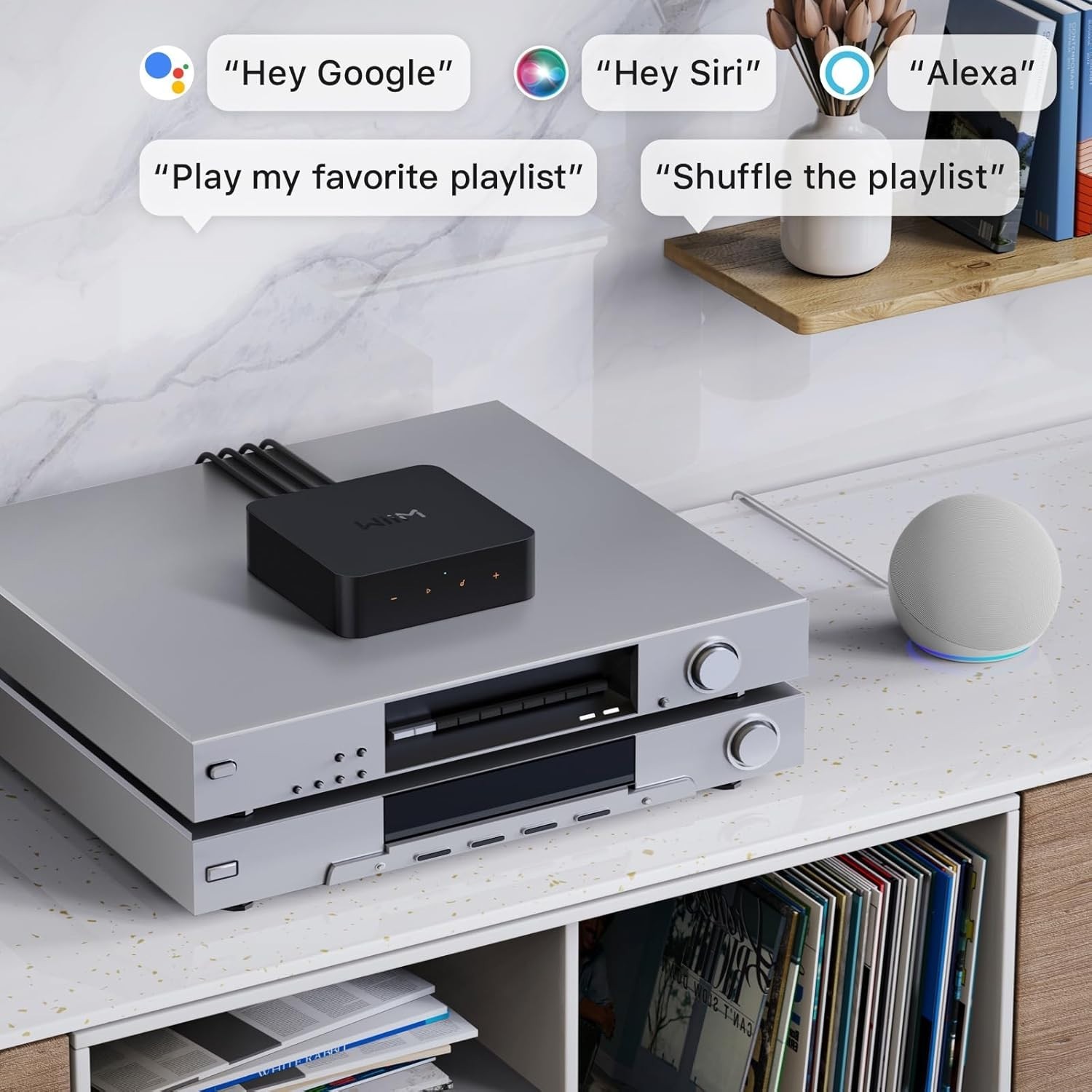 WiiM Pro Plus AirPlay 2 Receiver, Google Cast Audio, Multiroom Streamer