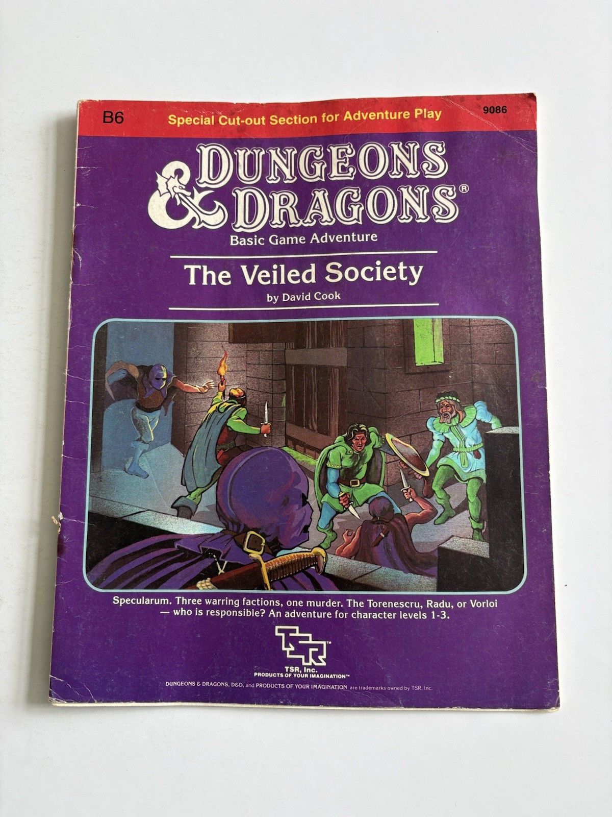 Dungeons And Dragons The Veiled Society B6 TSR 1984
