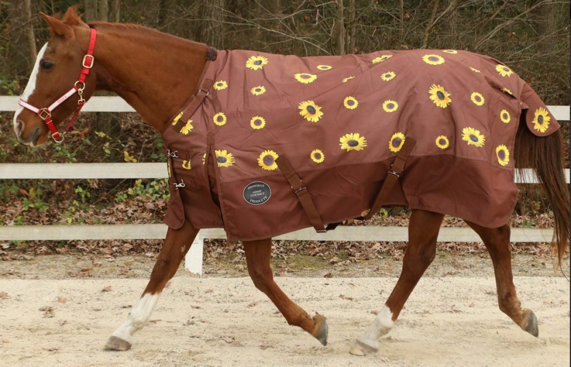 1200D Sunflower Waterproof Winter Turnout Horse Blanket 300 gr Polyfill  70" 72"